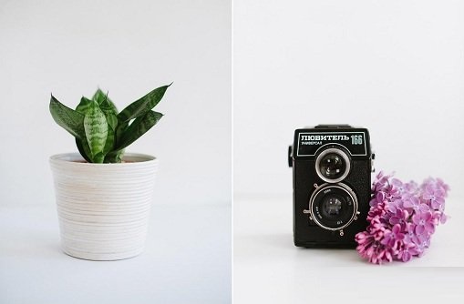 Still Life Photography Find Your Simple