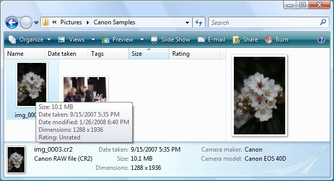 CR2 Codec 1.0.2.0