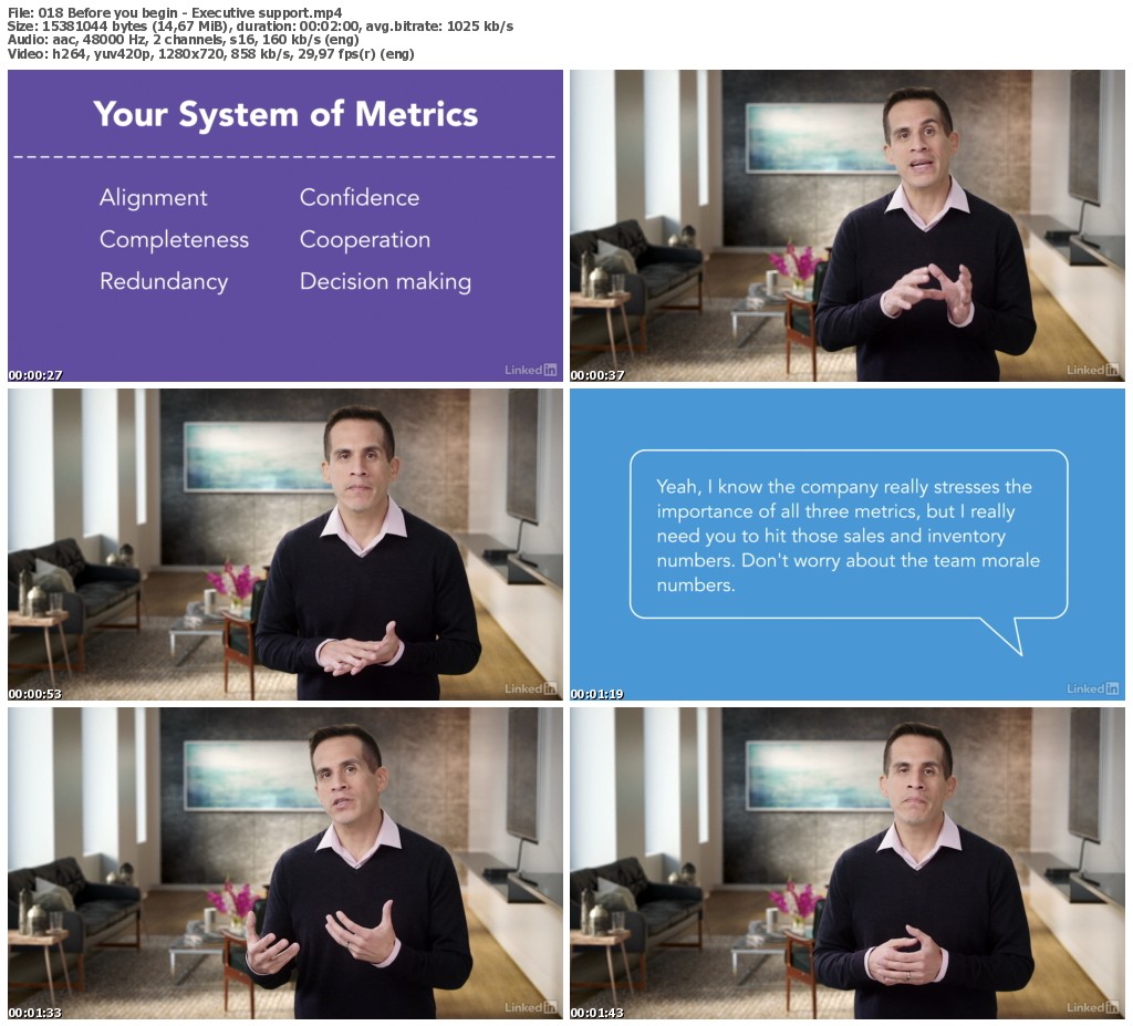 Lynda - Measuring Business Performance