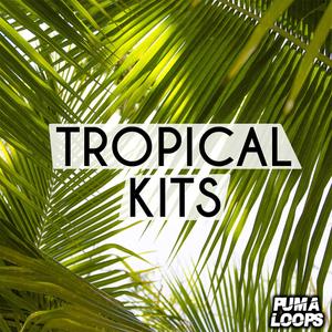 Puma Loops Tropical Kits WAV MiDi