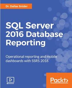 SQL Server 2016 Database Reporting