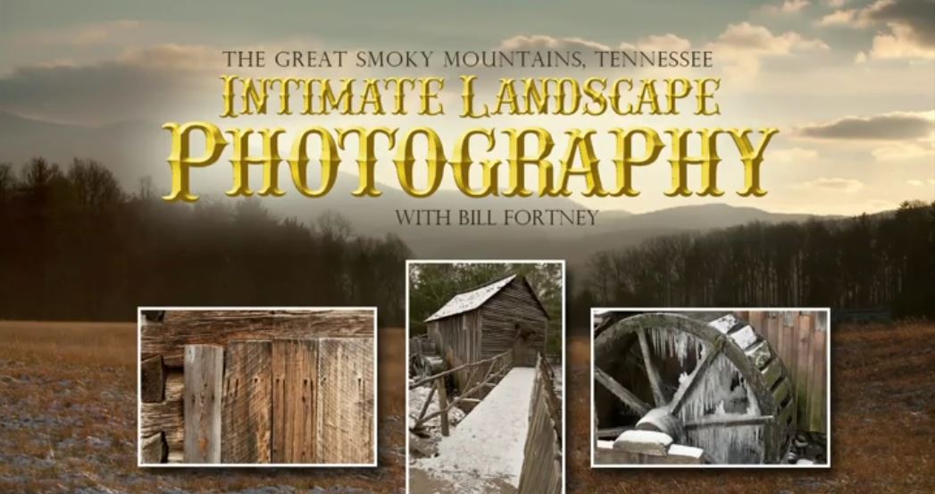 Intimate Landscape Photography