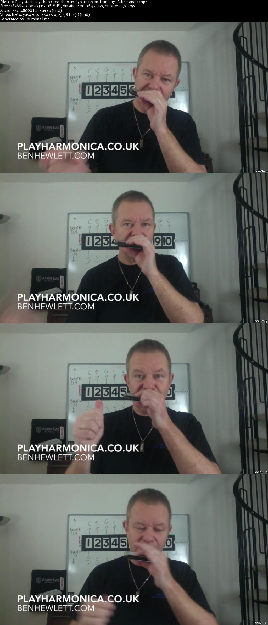 Play Sonny Terry style on Harmonica and dazzle your friends