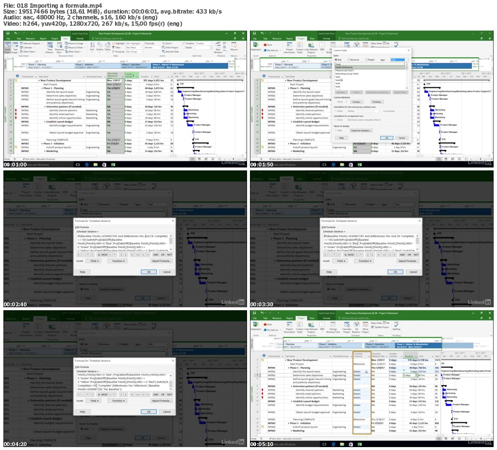 Lynda - Working with Custom Fields and Formulas in Microsoft Project