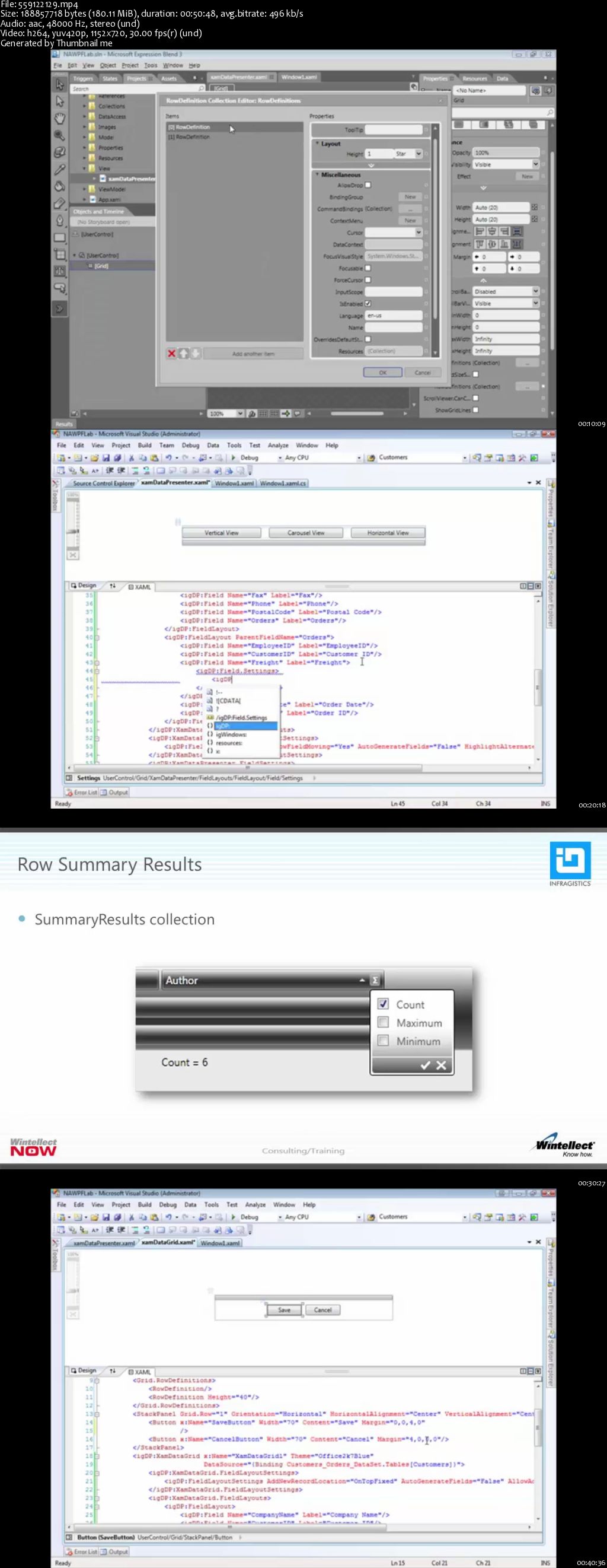 NetAdvantage for WPF (Part Two)