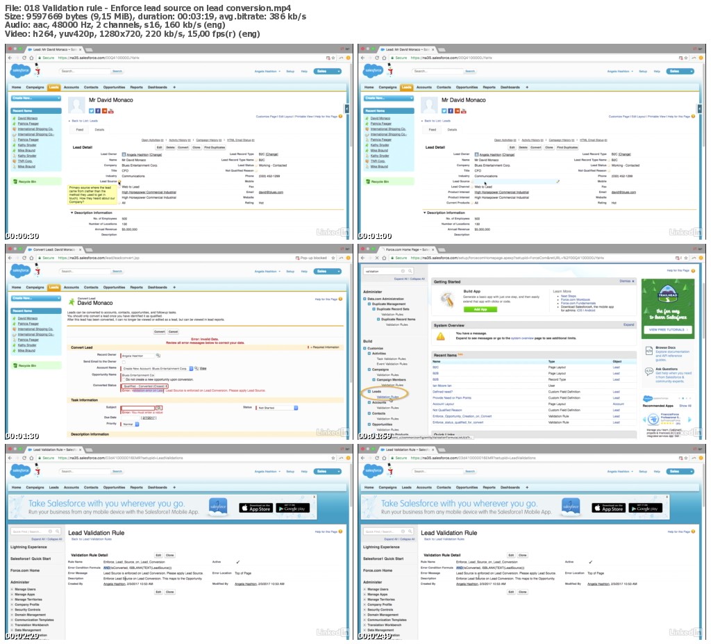 Lynda - Salesforce Workflows: Leads