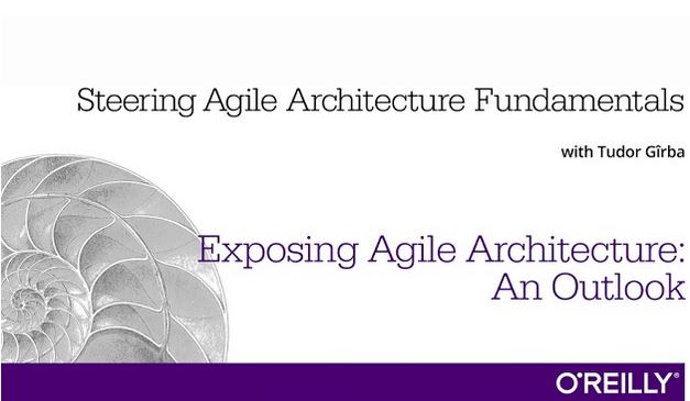 Exposing Agile Architecture