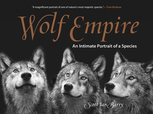 Wolf Empire: An Intimate Portrait of a Species-P2P