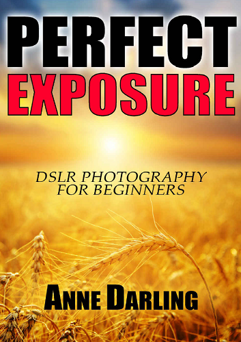 Perfect Exposure: DSLR Photography for Beginners-P2P