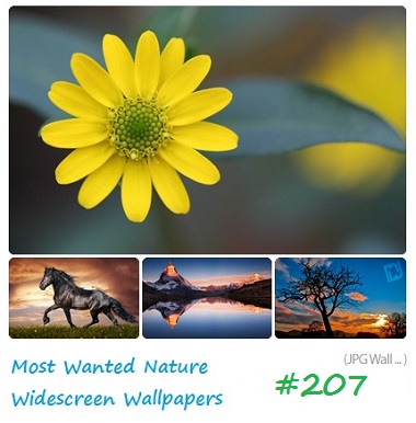 Most Wanted Nature Widescreen Wallpapers #207-P2P