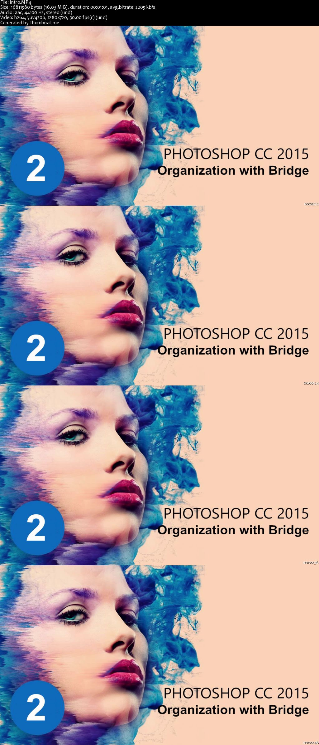 The Ultimate Photoshop CC 2015 Tutorial : Organization with Bridge