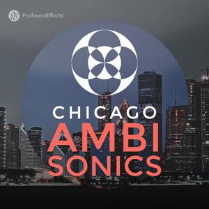 Pro Sound Effects Library Chicago Ambisonics WAV