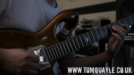 Tom Quayle - Visualizing The Fretboard (2016)