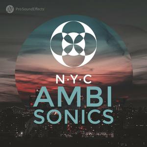 Pro Sound Effects Library NYC Ambisonics WAV