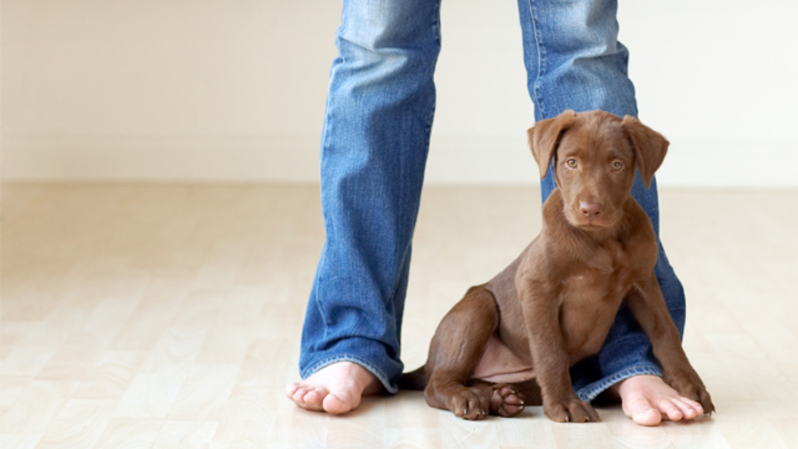 Pets and People Photography by Vicki Taufer