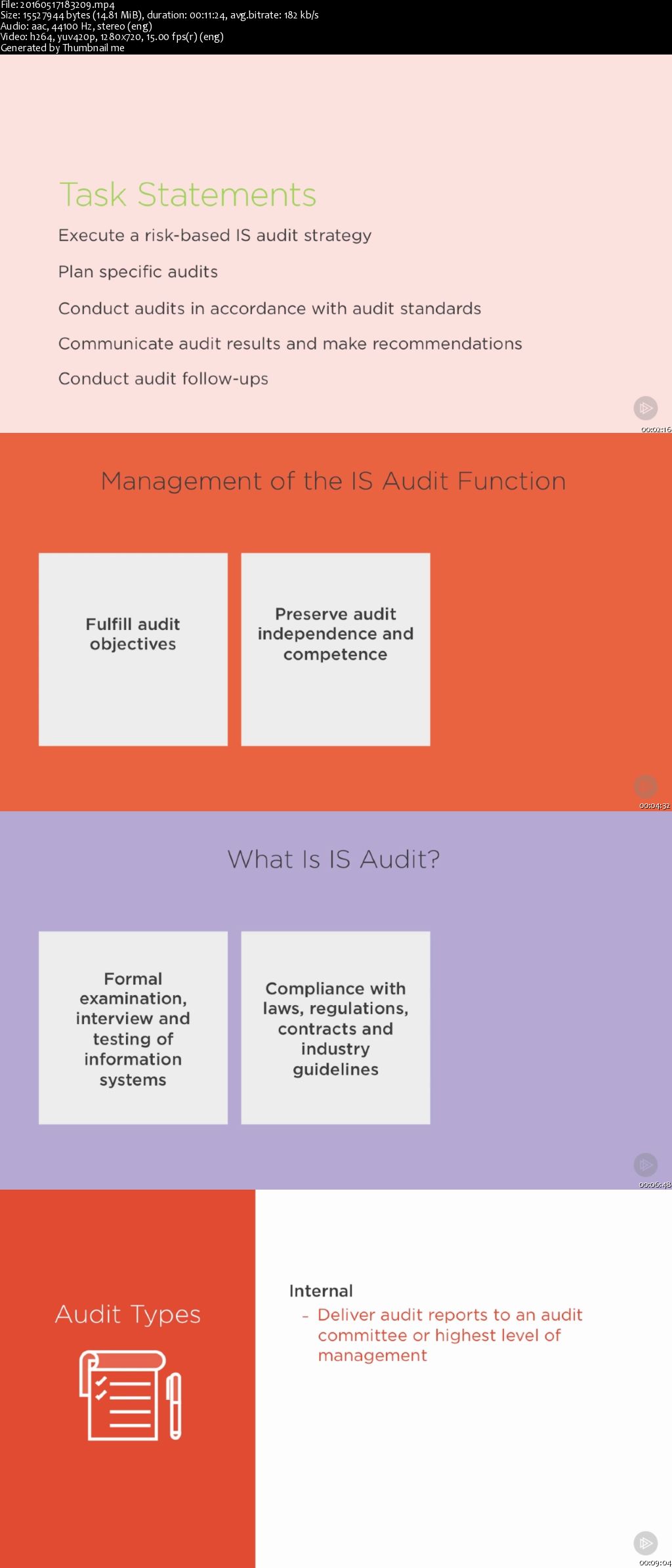 Information Systems Auditor: The Process of Auditing (2016)