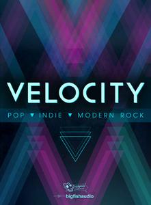 Big Fish Audio & Dieguis Productions - Velocity KONTAKT KLi