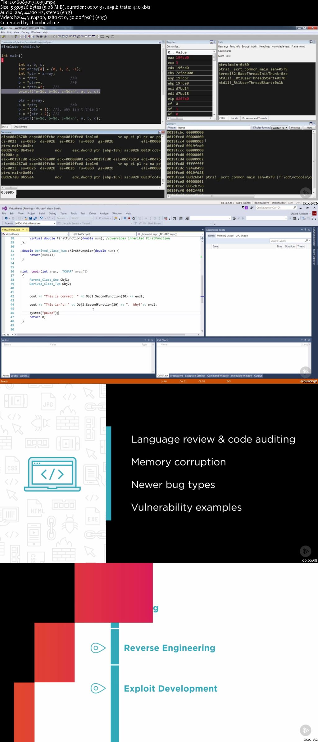 Security for Hackers and Developers: Code Auditing (2016)