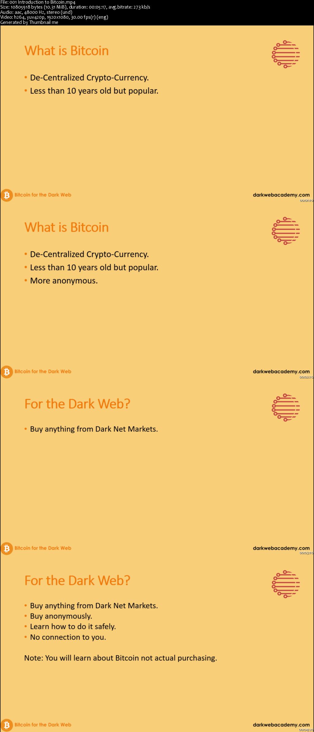 Bitcoin for the Dark Web (2016)