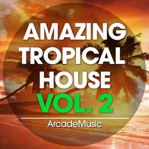 ArcadeMusic Amazing Tropical House Vol 2 WAV MiDi