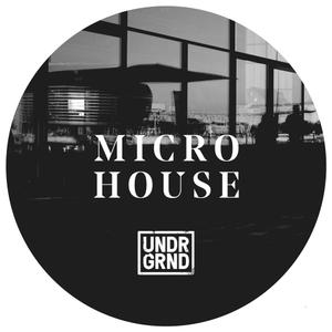 Undrgrnd Sounds Micro House WAV REX AiFF