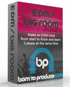 Born To Produce – EDM / Big Room (2016)