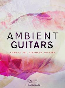 Big Fish Audio & Dieguis Productions - Ambient Guitars KONTAKT & MULTiFORMAT