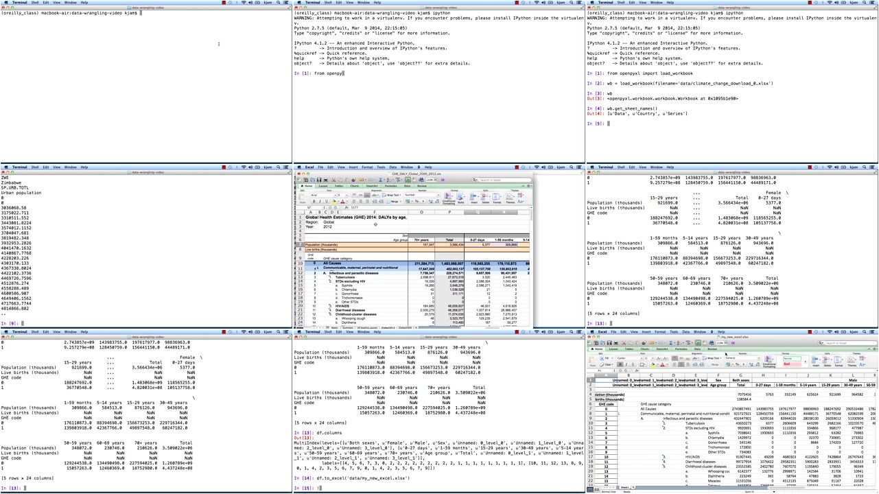 Data Wrangling and Analysis with Python Training Video