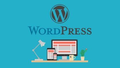 Build a Professional Business or Personal WordPress Website (2016)