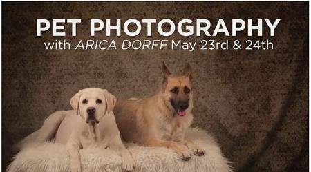 Pet Photography with Arica Dorff [repost]