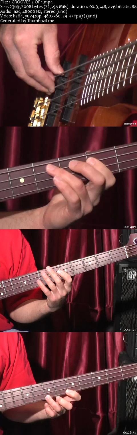 BASS GROOVES 2