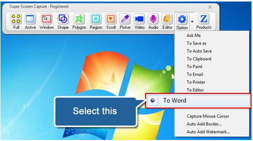 Zeallsoft Super Screen Capture 6.0