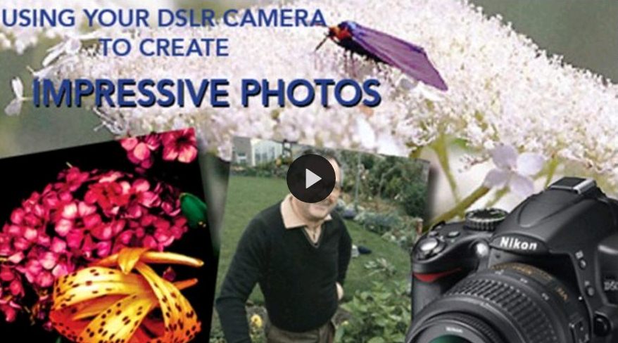 Using Your DSLR to Create Impressive Photos