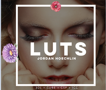 Jordan Hoechlin 22+ LUTs (Win/Mac)