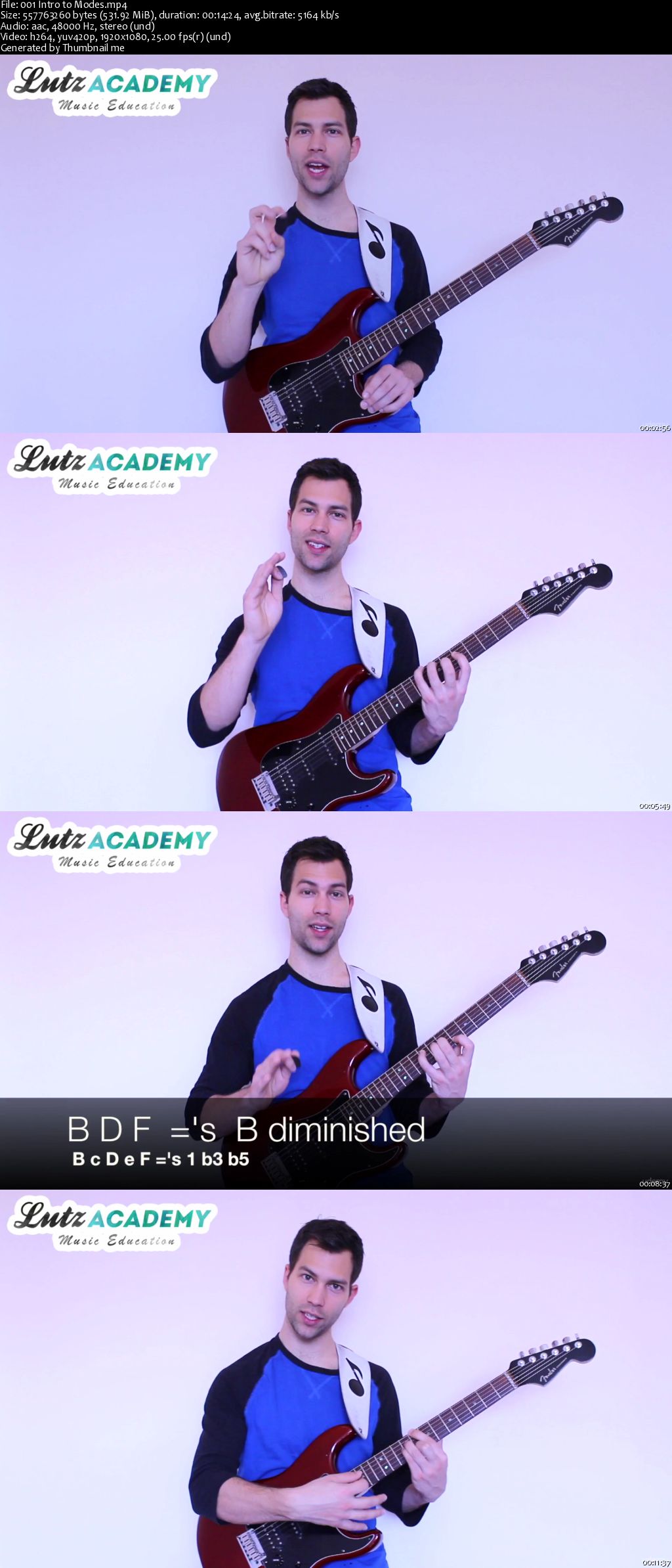 Modal Theory for Guitar (Guitar Lessons from Lutz Academy) (2016)