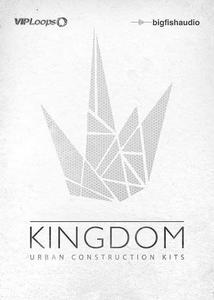 Big Fish Audio & Vip Loops - Kingdom MULTiFORMAT