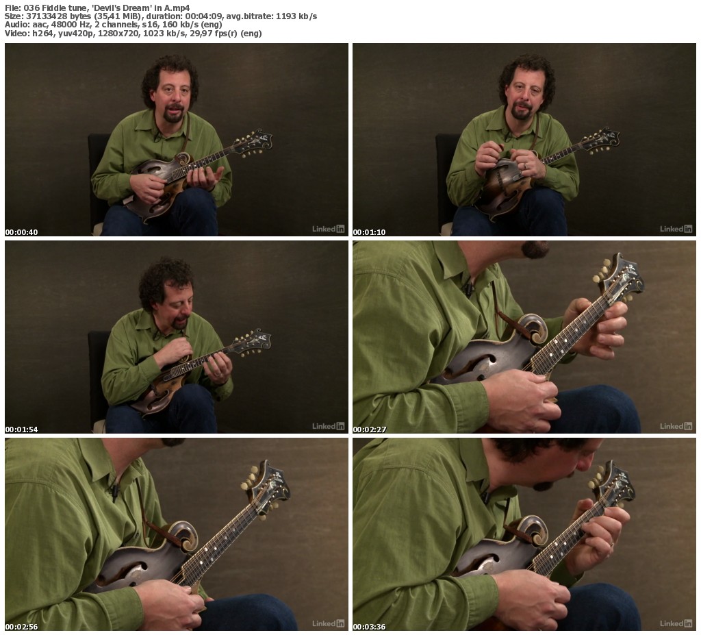 Lynda - Mandolin Lessons with Mike Marshall: 1 Fundamentals