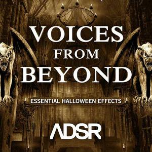 ADSR Sounds Voices From Beyond WAV AiFF