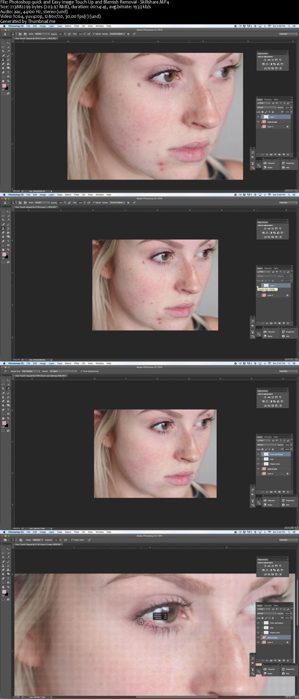 Photoshop quick and Easy Image Touch-Up and Blemish Removal