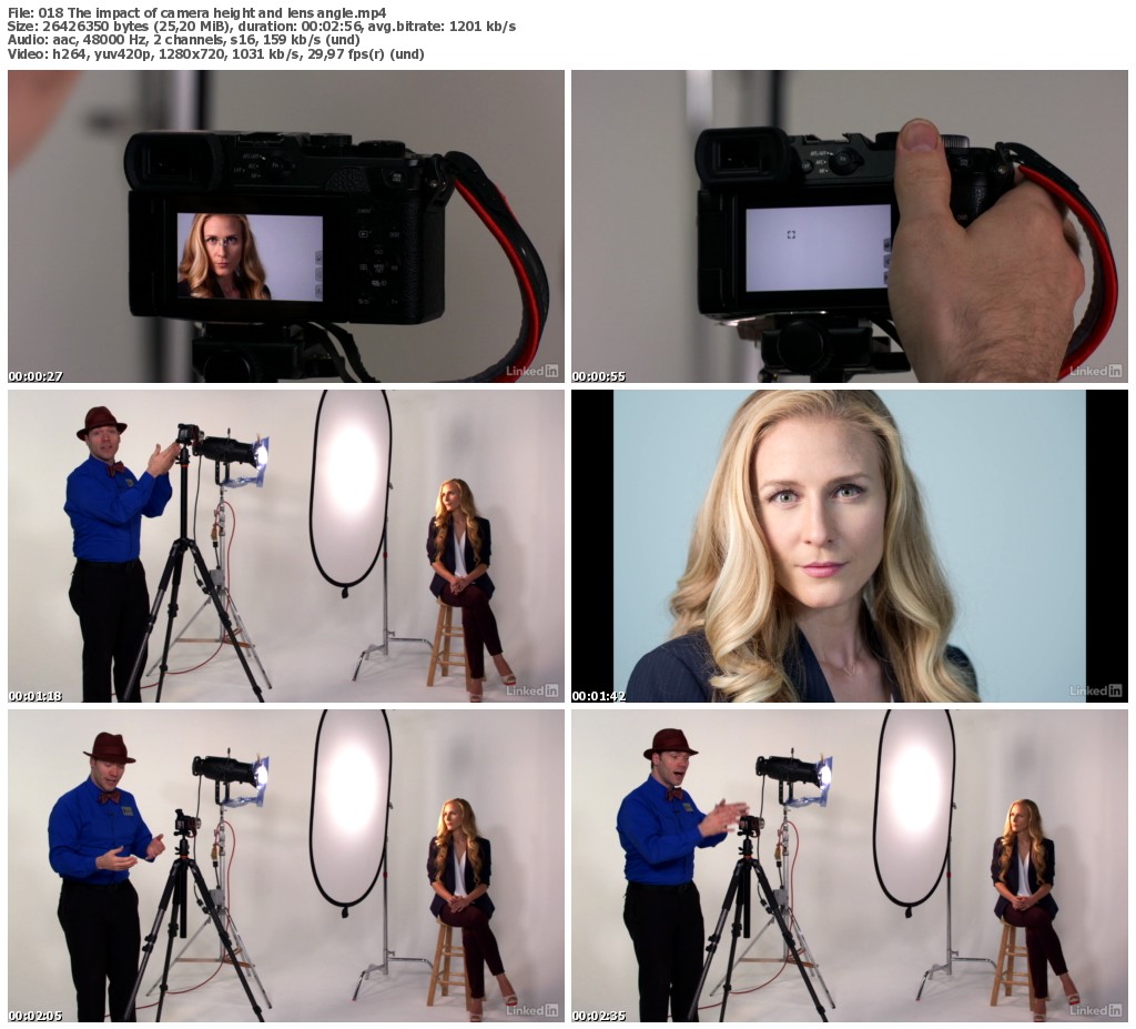 Lynda - Learn Portrait Photography: The Basics