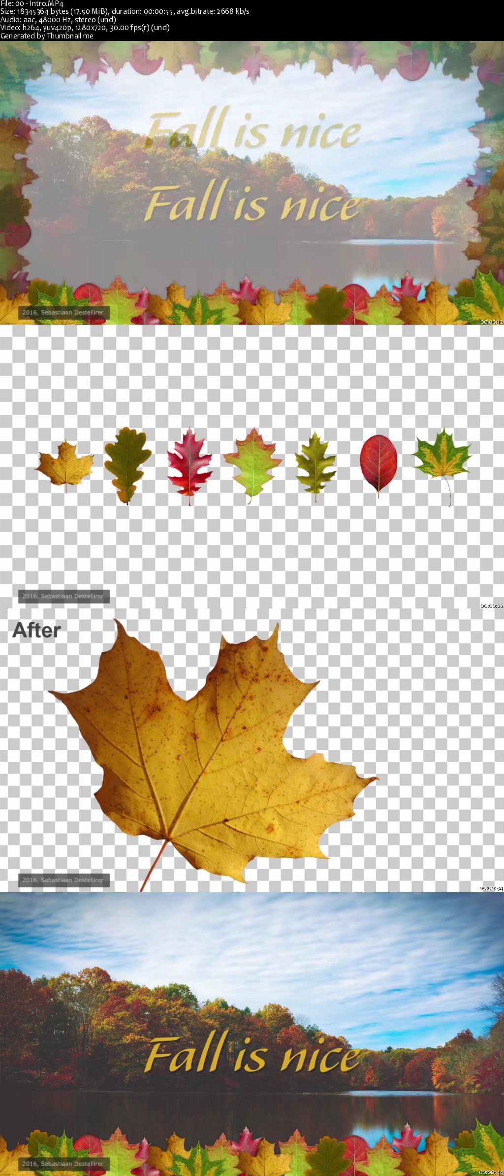 Capture the Fall - Create your own Fall Themed Picture borders in Adobe Photoshop