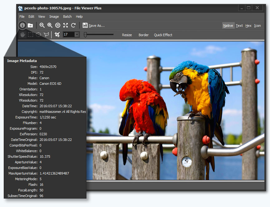 File Viewer Plus 2.0.1.36