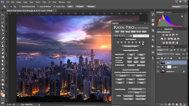 Raya Pro 1.1 Plug-in for Adobe Photoshop (Win/Mac)