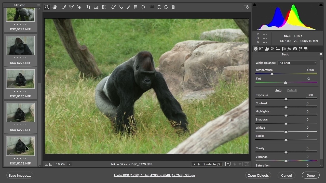 Adobe Camera Raw Workflow