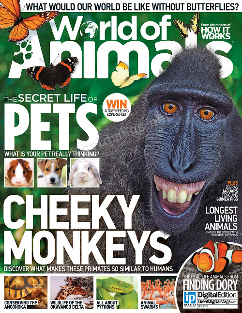 World of Animals – Issue 35, 2016-P2P