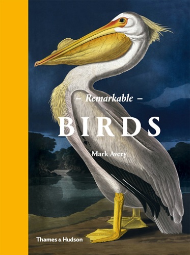 Remarkable Birds-P2P