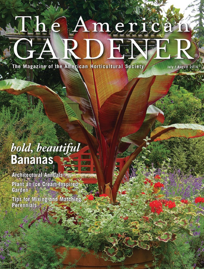 The American Gardener – July/August 2016-P2P