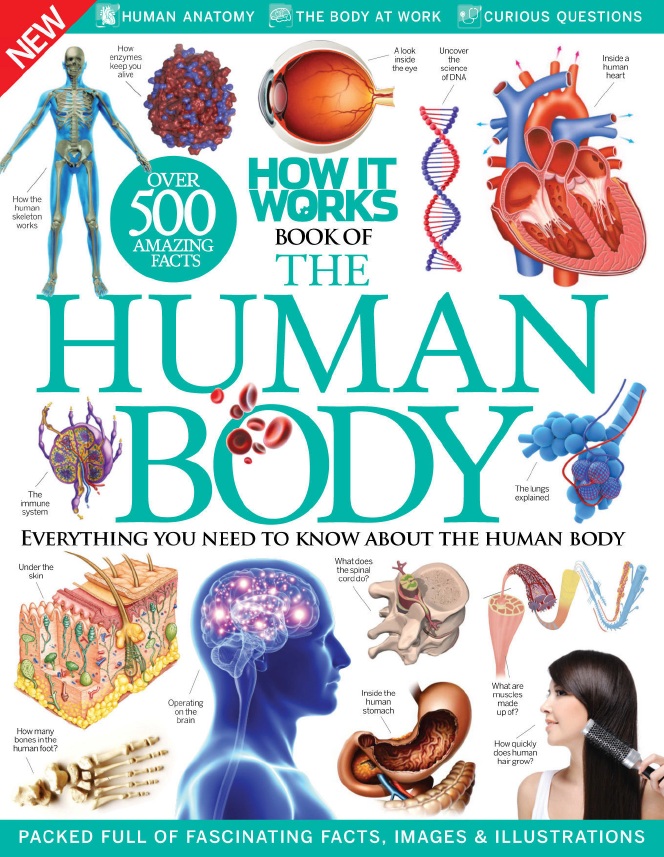 How It Works – Book Of The Human Body 7th Edition-P2P