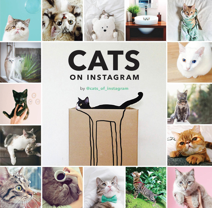 Cats on Instagram by @cats_of_instagram-P2P