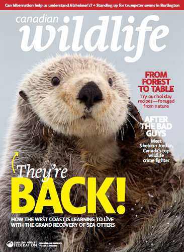 Canadian Wildlife – November/December 2016-P2P